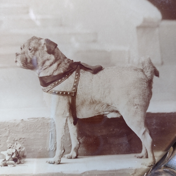 Vintage Victorian Tin Type - Picture 6 of 8